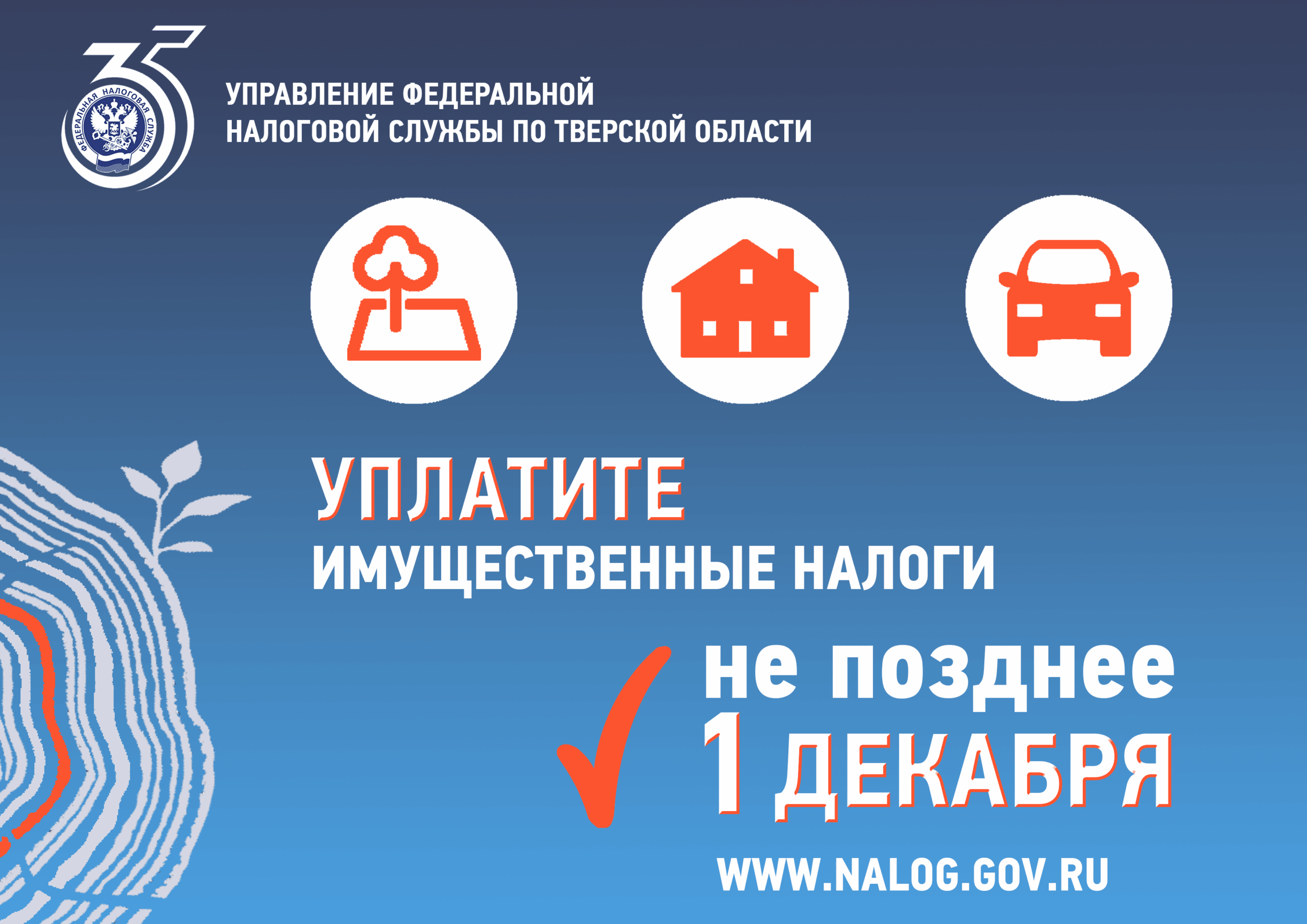 Внимание! Оплата имущественных налогов за 2024 год