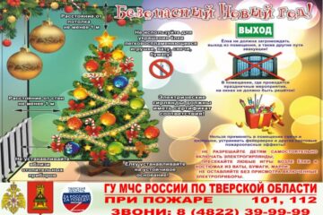Безопасный Новый год!
